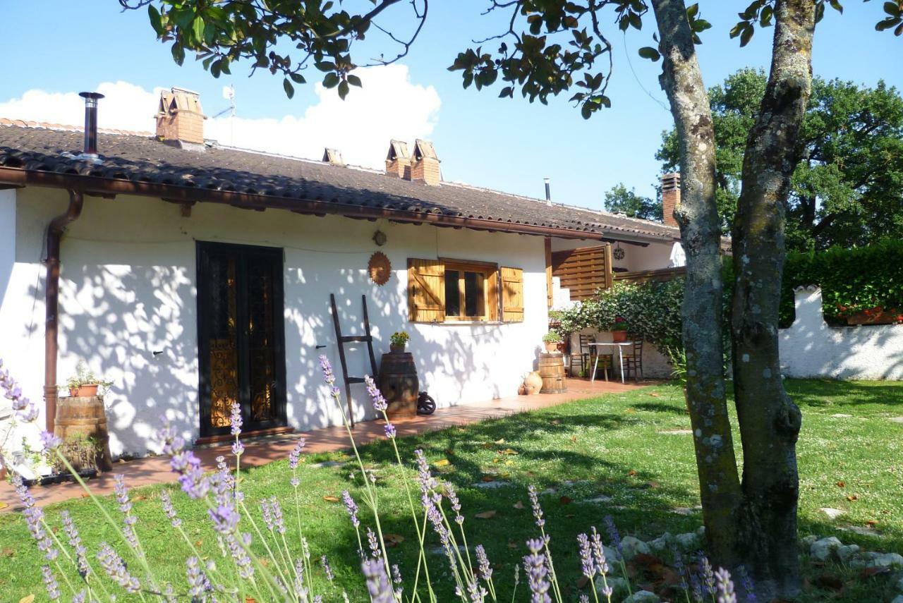 B&B Colle Di Terria Country House Contigliano Buitenkant foto